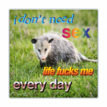 I Don't Need Sex, Life Fucks Me Every Day - Opossum/Possum - Funny Bumper Stickers [00734]