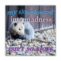 My Slow Descent Into Madness, Isn't So Slow - Opossum/Possum - Funny Bumper Stickers [00741]