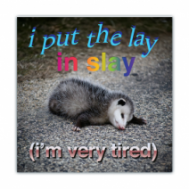 I Put The Lay In Slay, (I'm Very Tired) - Opossum/Possum - Funny Bumper Stickers [00742]