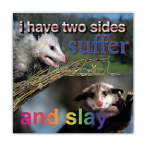 I Have Two Sides Suffer, And Slay - Opossum/Possum - Funny Bumper Stickers [00743]