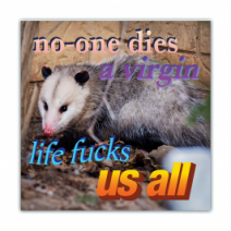 No One Dies A Virgin, Life Fucks Us All - Opossum/Possum - Funny Bumper Stickers [00744]