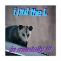 I Put The L, In Mentally Ill - Opossum/Possum - Funny Bumper Stickers [00746]