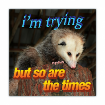 I'm Trying, But So Are The Times - Opossum/Possum - Funny Bumper Stickers [00749]