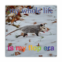 My Whole Life, Is My Flop Era - Opossum/Possum - Funny Bumper Stickers [00754]