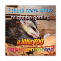 I Think These Times Might Be Getting, A Little Too, Unprecedented - Opossum/Possum - Funny Bumper Stickers [00756]