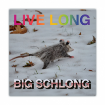 Live Long, Big Schlong - Opossum/Possum - Funny Bumper Stickers [00759]