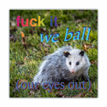 Fuck It We Ball, (Our Eyes Out) - Opossum/Possum - Funny Bumper Stickers [00762]