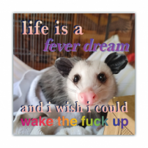 Life Is A Fever Dream, And I Wish I Could Wake The Fuck Up - Opossum/Possum - Funny Bumper Stickers [00763]