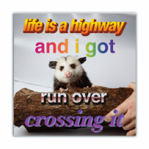 Life Is A Highway And I Got, Run Over Crossing It - Opossum/Possum - Funny Bumper Stickers [00764]