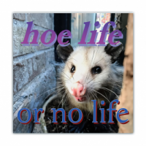 H*e Life, Or No Life - Opossum/Possum - Funny Bumper Stickers [00766]