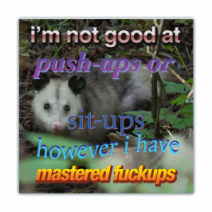 I'm Not Good At Push-ups Or, Sit-ups However I Have Mastered Fuckups - Opossum/Possum - Funny Bumper Stickers [00767]