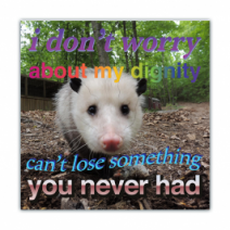 I Don't Worry About My Dignity, Can't Lose Something You Never Had - Opossum/Possum - Funny Bumper Stickers [00771]