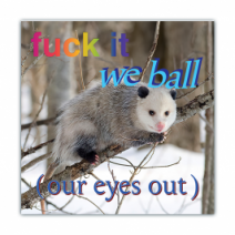 Fuck It We Ball, (Our Eyes Out) - Opossum/Possum - Funny Bumper Stickers [00778]