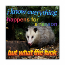 God Won This Round And She'll Probably, Win The Next One Too - Opossum/Possum - Funny Bumper Stickers [00782]