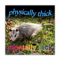 Physically Thick, Mentally Sick - Opossum/Possum - Funny Bumper Stickers [00784]