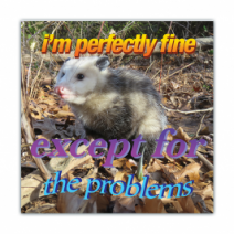 I'm Perfectly Fine, Except For The Problems - Opossum/Possum - Funny Bumper Stickers [00785]