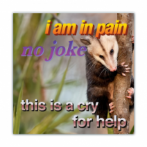 I Am In Pain No Joke, This Is A Cry For Help - Opossum/Possum - Funny Bumper Stickers [00786]