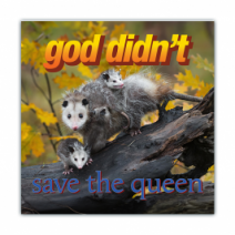 God Didn't Save The Queen - Opossum/Possum - Funny Bumper Stickers [00792]