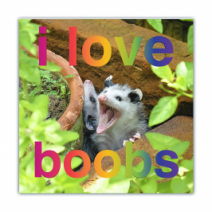 I Love B**bs - Opossum/Possum - Funny Bumper Stickers [00795]