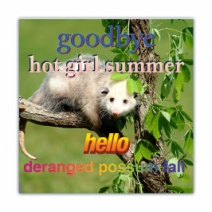 Goodbye Hot Girl Summer, Hello Deranged Possum Fall - Opossum/Possum - Funny Bumper Stickers [00796]