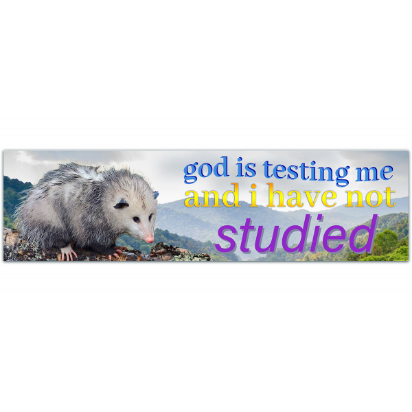 Funny Bumper Sticker - God Is Testing Me And I Have Not Studied, Opossum, funny vinyl Decal, Cars, Windows [00081]