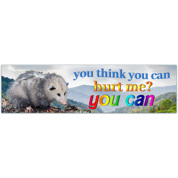 Funny Bumper Sticker - You Think You Can Hurt Me? You Can, Opossum, funny vinyl Decal, Cars, Windows [00082]