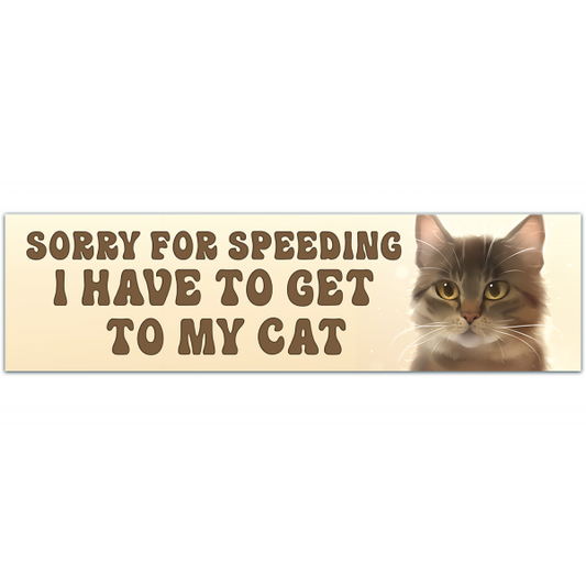 Funny Bumper Sticker - Sorry For Speeding, I Have To Get Home To My Cat - Cat Lady Bumper Sticker, Cat Car Decal, Car Sticker, I Love My Cat [00087]