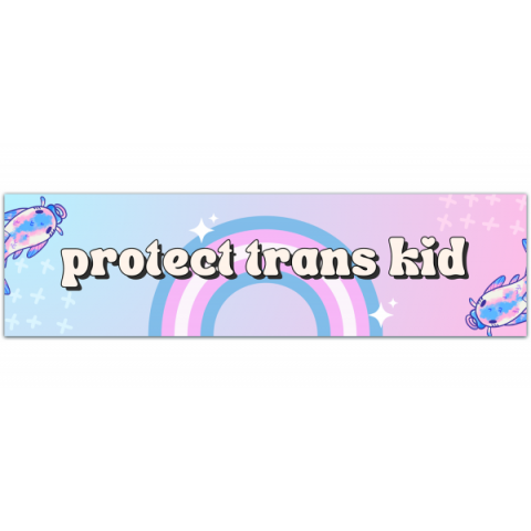 PROTECT TRANS KIDS - Vinyl Bumper Sticker [00870]