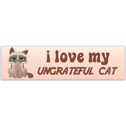 I Love My Rotten, Ungrateful Cat! Cute Funny Meme Bumper Sticker Car Decal For Vehicle [00091]