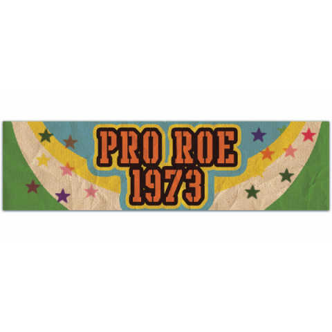 Pro Roe 1973| Water Resistant Sticker | Retro Pro Choice Decal | Roe v Wade | Equal Rights | Coat hanger | Bumper Sticker [00968]