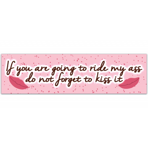 If You're Going To Ride My Ass, At Least Pull My Hair - No Tailgating Sticker - Premium Quality Decal Bumper Stickers [00997]