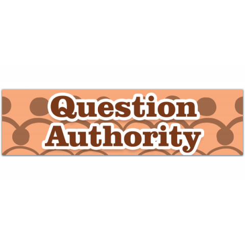 Question Authority - Anti Government - Anarchy - Premium Quality - Bumper Stickers & Decals [00999]